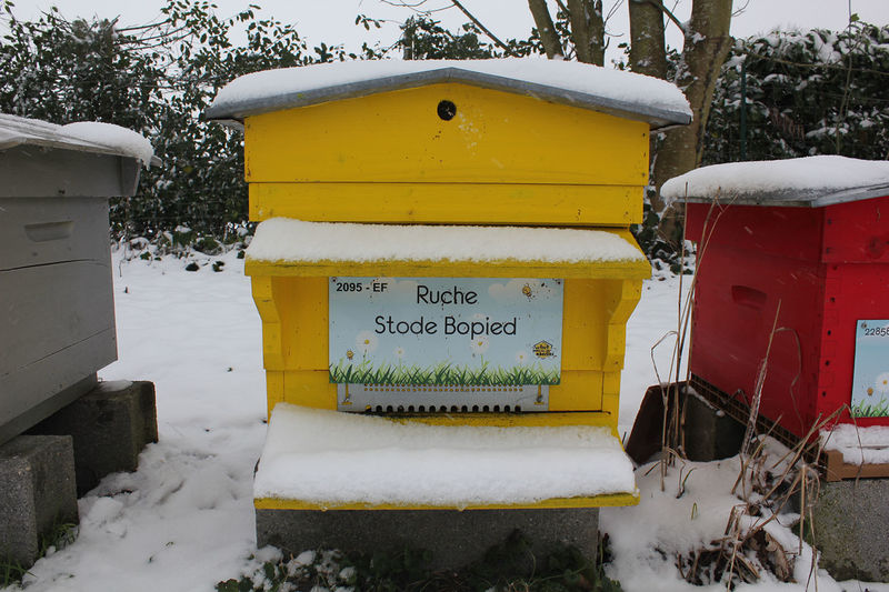 La ruche Stode Bopied